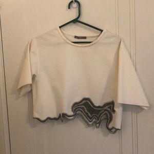 Zara crop top